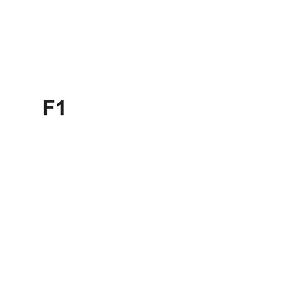 F1-L