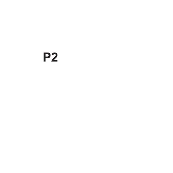 P2-L